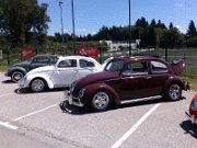 Beetle Show Rioz (15)